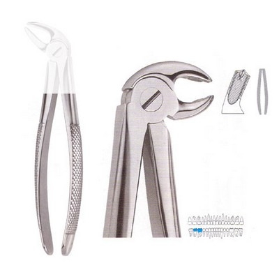 Extracting Forceps